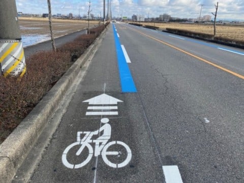 通学路としての認識をより高める為に横断歩道を グリーンに塗装